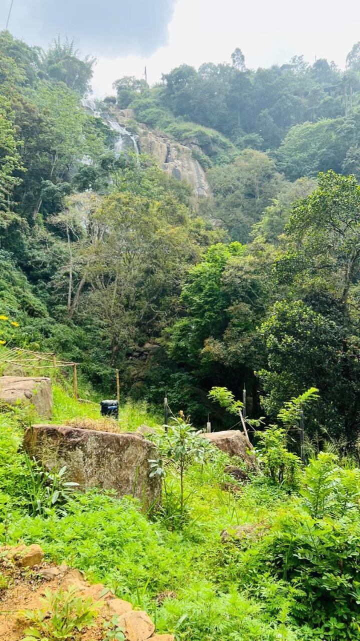 Сasa de vacaciones Jungle Rock Ella