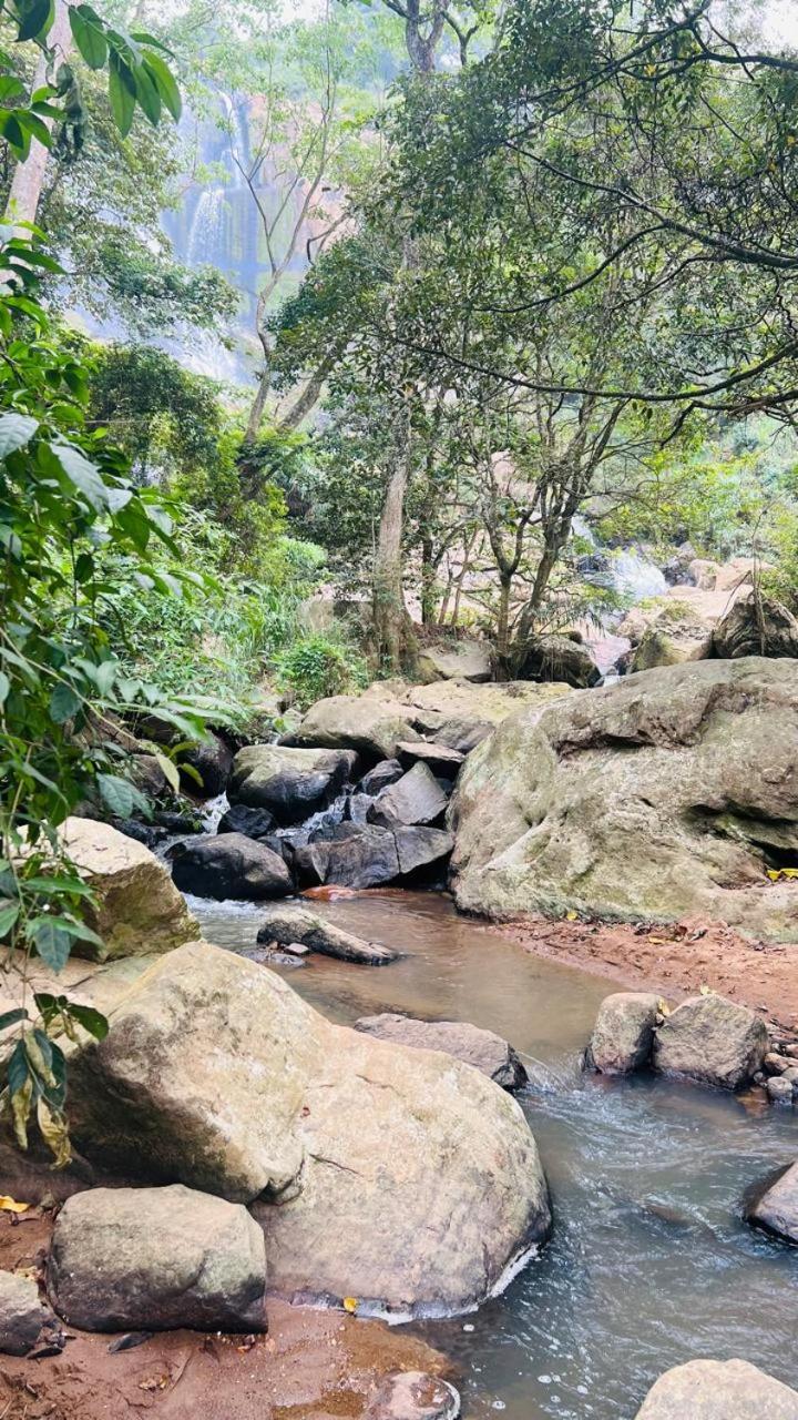 Сasa de vacaciones Jungle Rock
